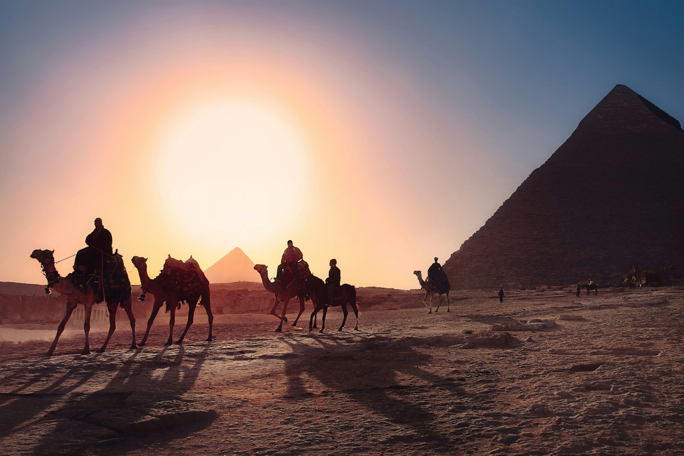 Camels at the Pyramids of Giza at sunset — Egypt