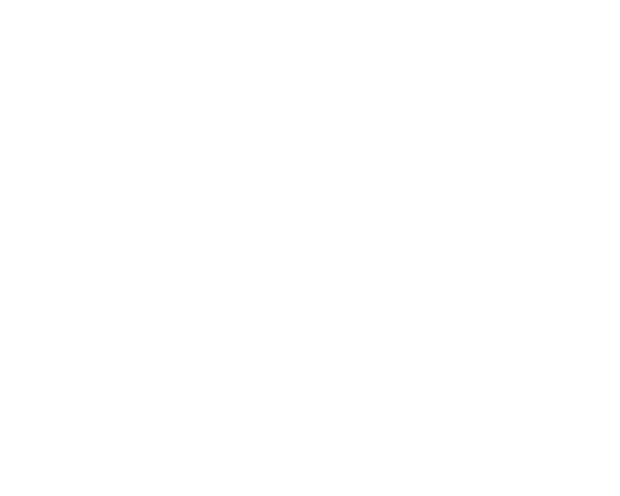 Simonian Rugs